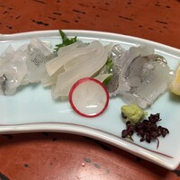 河太郎 中洲本店 - 活造り（いか）300g