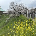 ル・クープシュー - 