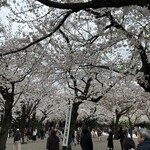 ル・クープシュー - 