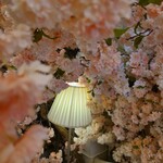 HAUTE COUTURE・CAFE - 