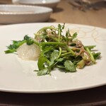 おしゃべりきのこ - 