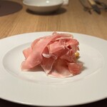 おしゃべりきのこ - 