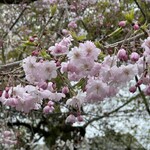 アティックルーム靖国外苑 - 