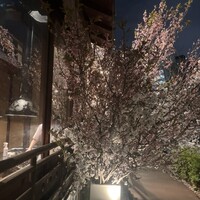 焼鶏あきら 中目黒本店 - 