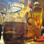 モツの朝立ち - 中身がよく見えますね…笑