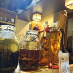 モツの朝立ち - 