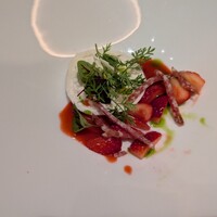 PIGNETO - 