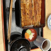 うなぎ割烹 白金台 まつ本 - 