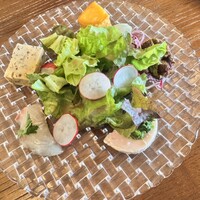 フィーコディンディア - 
