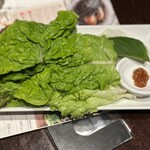 ボクデン - サンチュセット390円