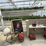 イチゴス横浜 | 横浜いちご狩り農園 - 