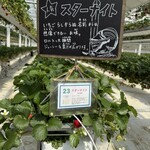 イチゴス横浜 | 横浜いちご狩り農園 - 