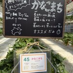 イチゴス横浜 | 横浜いちご狩り農園 - 