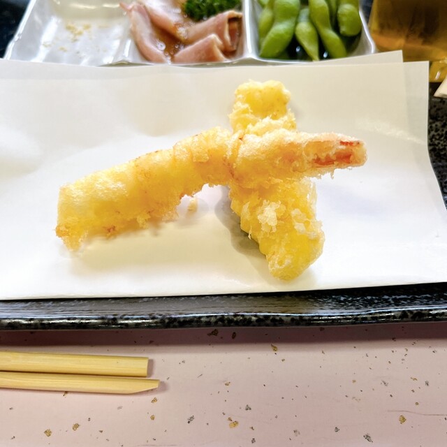 Shibaura Ishikawa photo 3