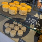 OCTA SCONE - 