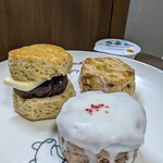 OCTA SCONE - 