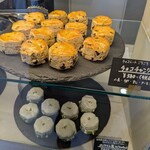 OCTA SCONE - 