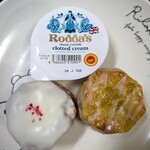 OCTA SCONE - 