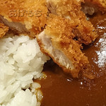 Tonkatsu Hamakatsu - カツカレー