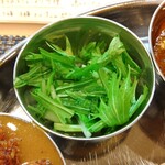 スパイス料理ナッラマナム - 水菜