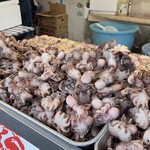 魚問屋 丸八水産 那珂湊おさかな市場店 - 