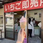 館山いちご狩りセンター - 