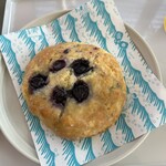 Pacific PICKLE CLUB - 