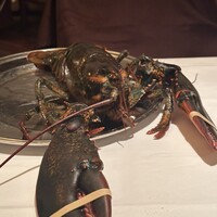 ウルフギャング・ステーキハウス 六本木 -  ウルフギャング・ステーキハウス 六本木 -