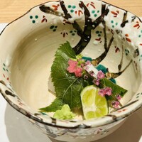 天ぷら うらかみ - 桜の葉で巻いた桜鯛のお造り