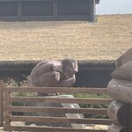 アトリエ・ド・フロマージュ - 