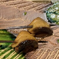 北海道炉端焼き 篝 - 