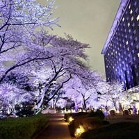 天婦羅 若竹 - 