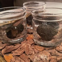 Terres de Truffes, Tokyo - 