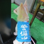 イタリアンレストラン　Obsounds - テラス席ペット可です