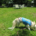 イタリアンレストラン　Obsounds - 庭のお散歩もできます