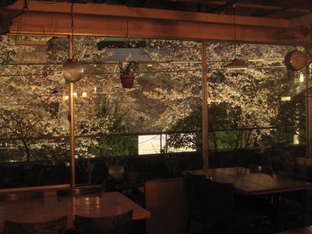 Izakaya Menehune photo 4