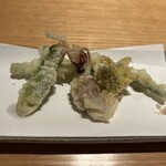 だし 和食 福もと - 春山菜と蛍烏賊の天ぷら