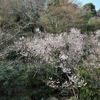 錦水 - 