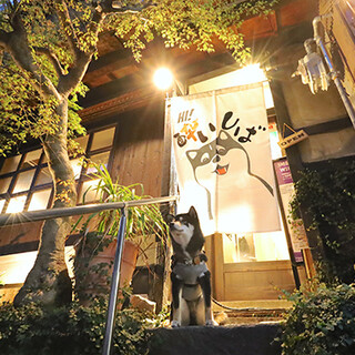 黒柴の店長がお出迎え！ワンちゃん連れの方にぴったりな居酒屋