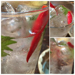 地球屋にんげん亭 - 涼しげな金魚サワー