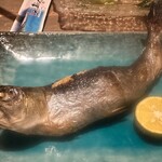 五島人 浜松町店 - 