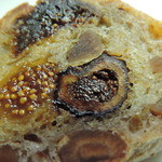 フィグ　エ　フィグ　アップ