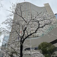 中国料理 「王朝」 ヒルトン東京 - 