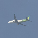 NARITA BOLD KITCHEN - 駐車場から見えた飛行機