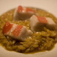 PRIMO PASSO - 
