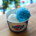 THE BEER TERRACE - バニラアイスクリーム