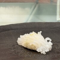 やま中・本店　鮨と日本料理　 - 