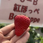 姫路ハートフル観光農園 - 