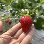 姫路ハートフル観光農園 - 