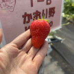 姫路ハートフル観光農園 - 